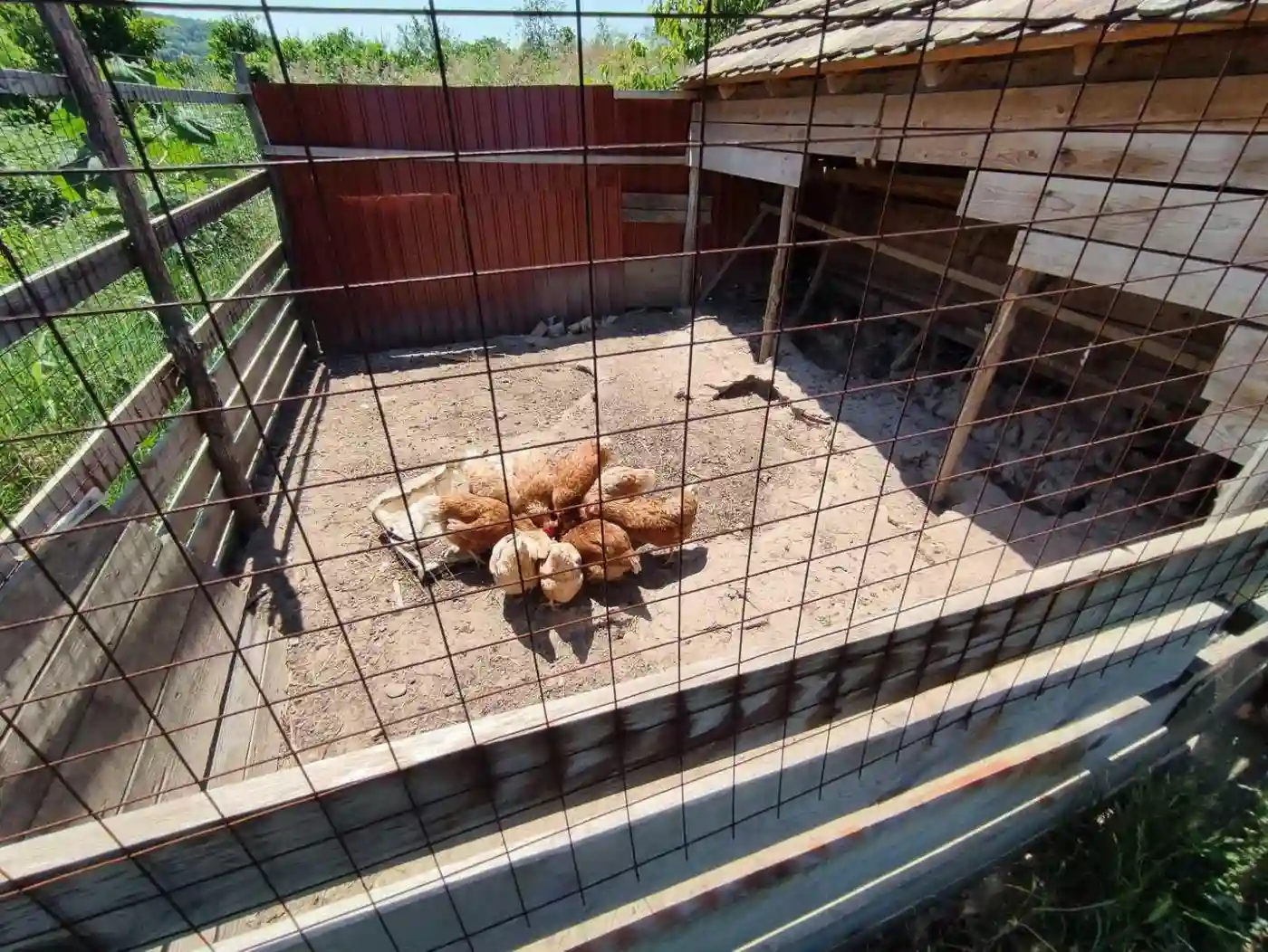 kuca na prodaju Sremski Karlovci 67m2 514141