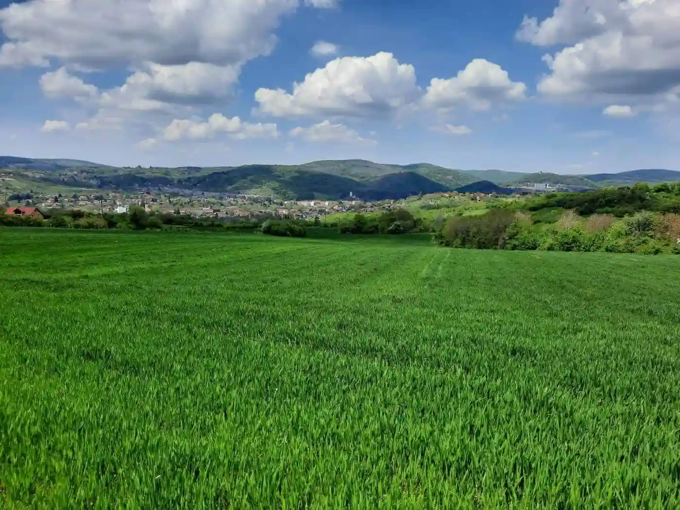 plac na prodaju Vrdnik, 12002m2 514165