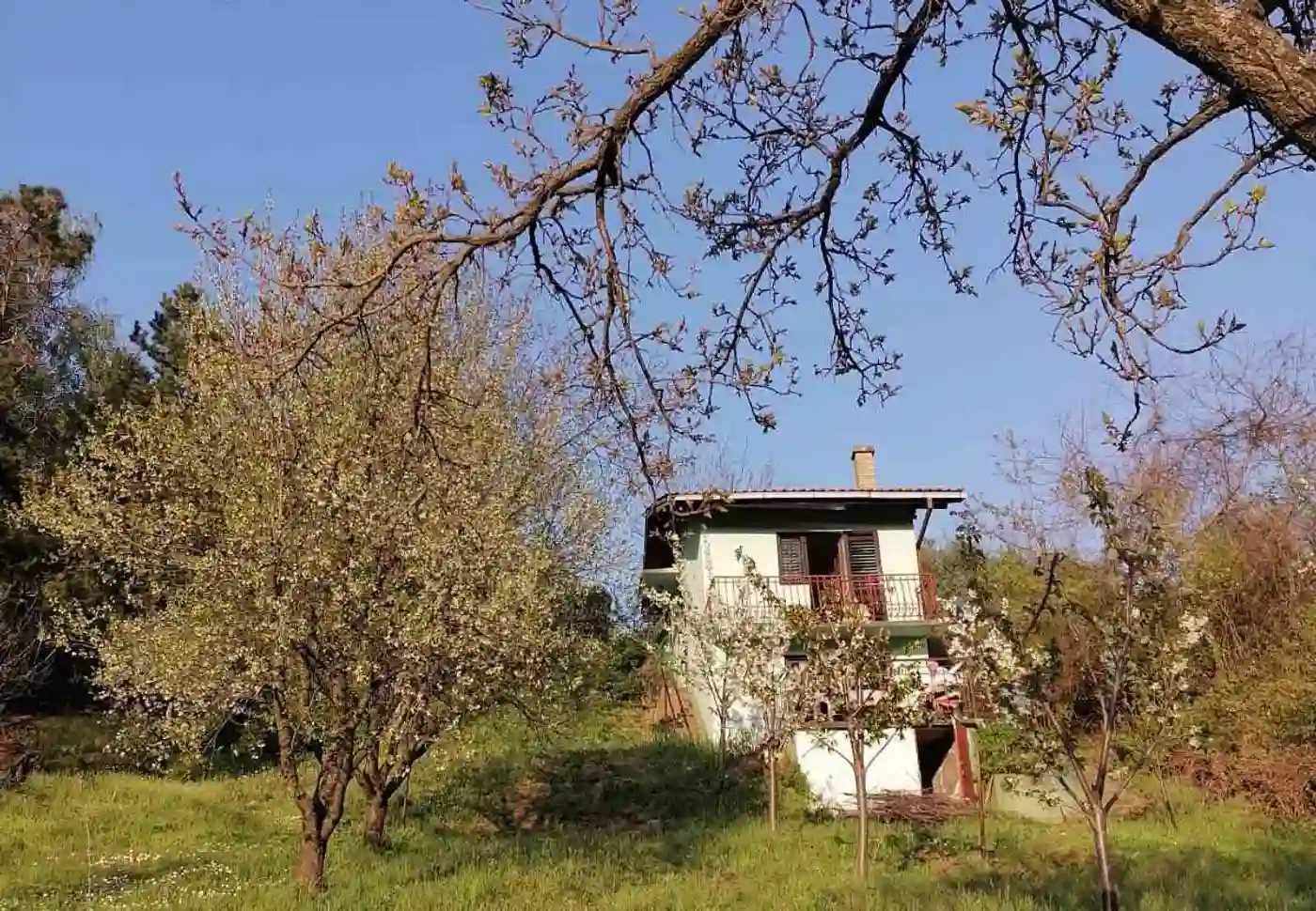kuca na prodaju Irig 60m2 514725