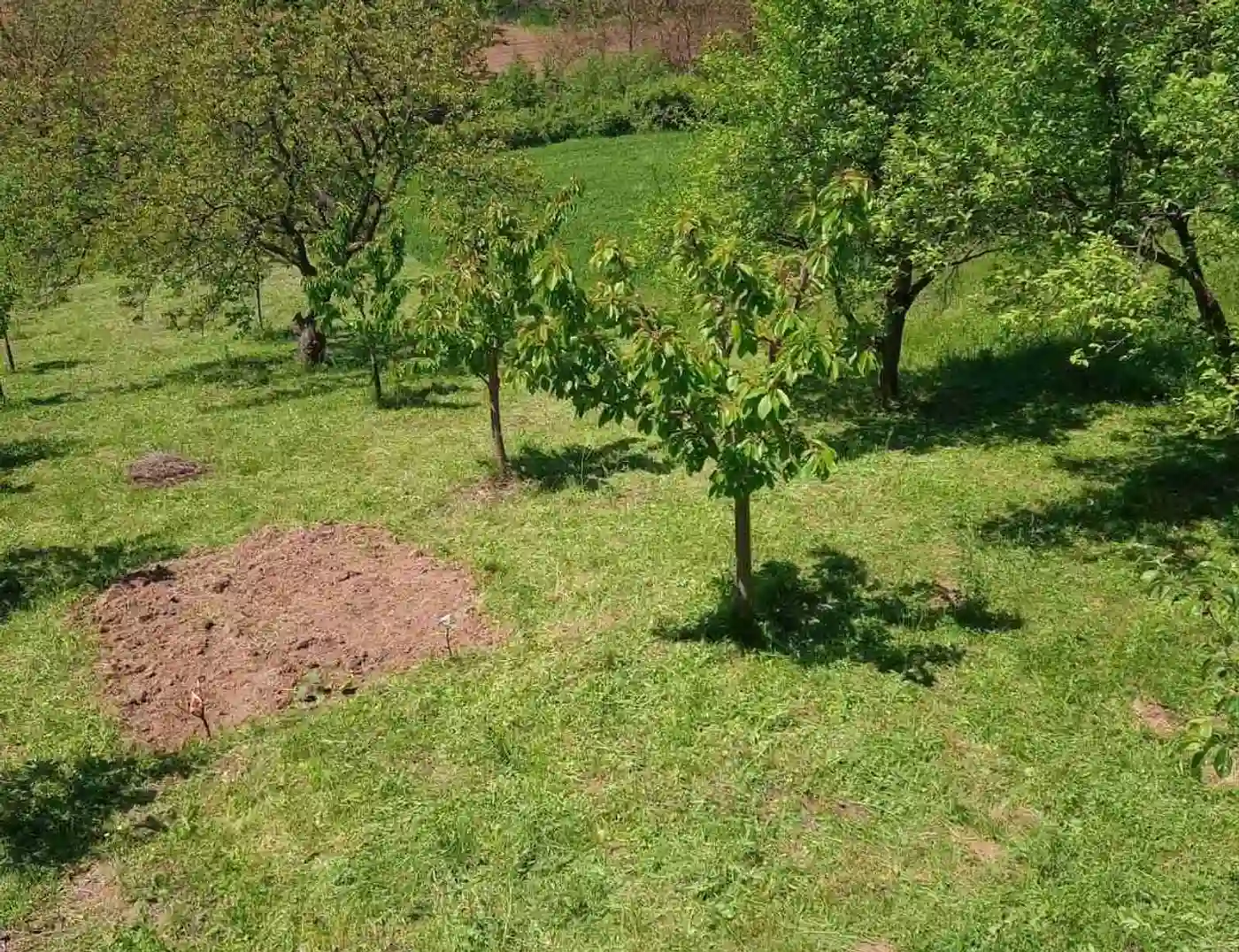 kuca na prodaju Irig 60m2 514725
