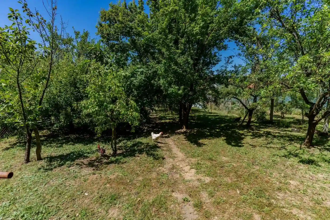 kuca na prodaju Ledinci 119m2 551094