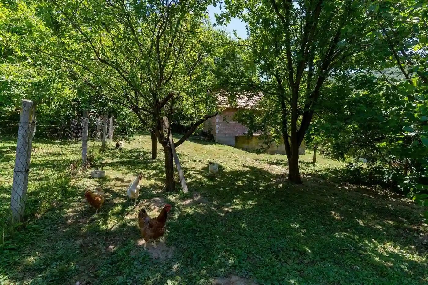 kuca na prodaju Ledinci 119m2 551094