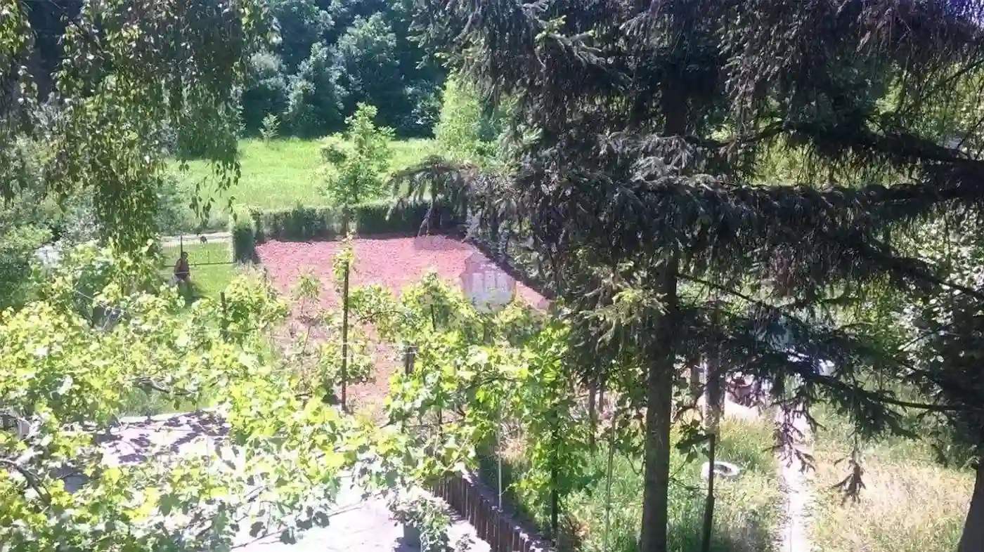 kuca na prodaju Čortanovci 60m2 515119