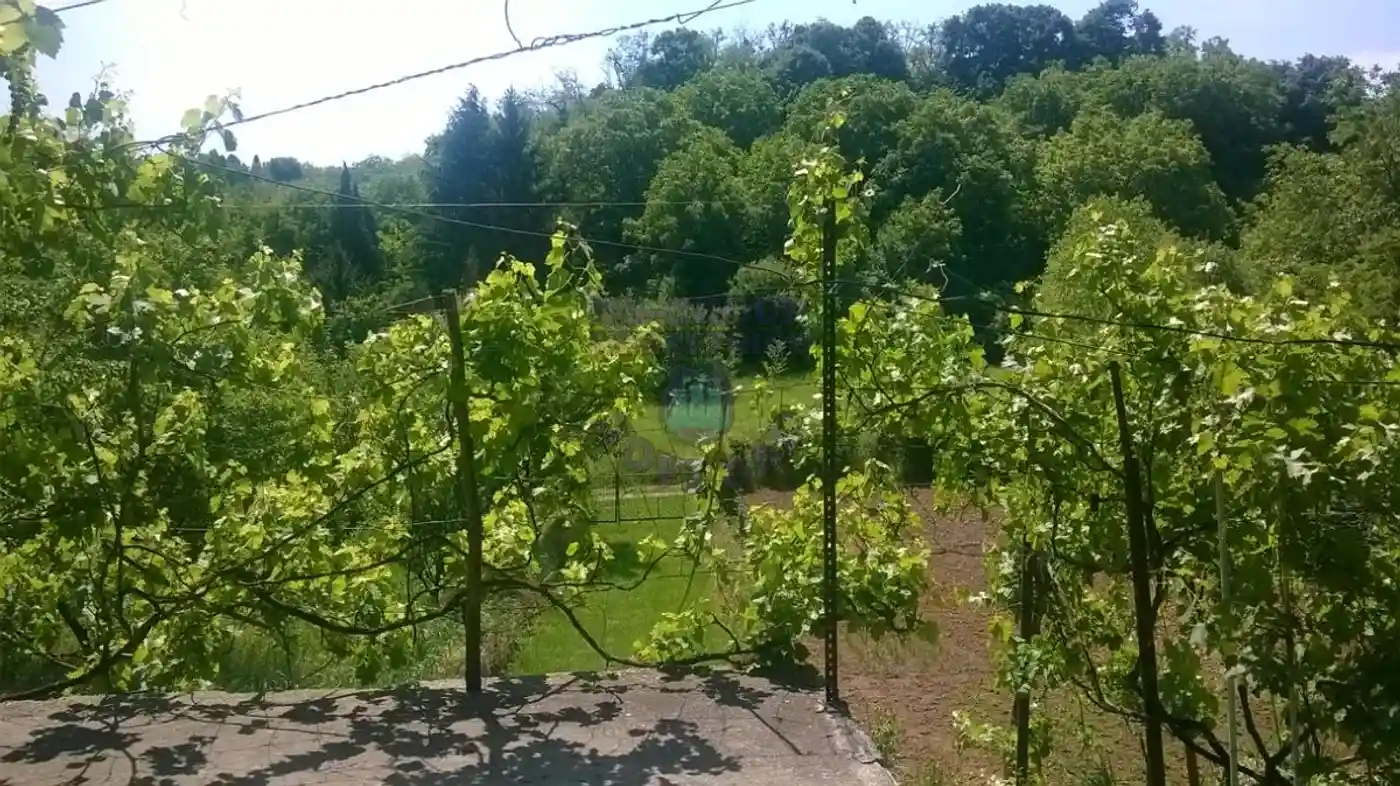 kuca na prodaju Čortanovci 60m2 515119