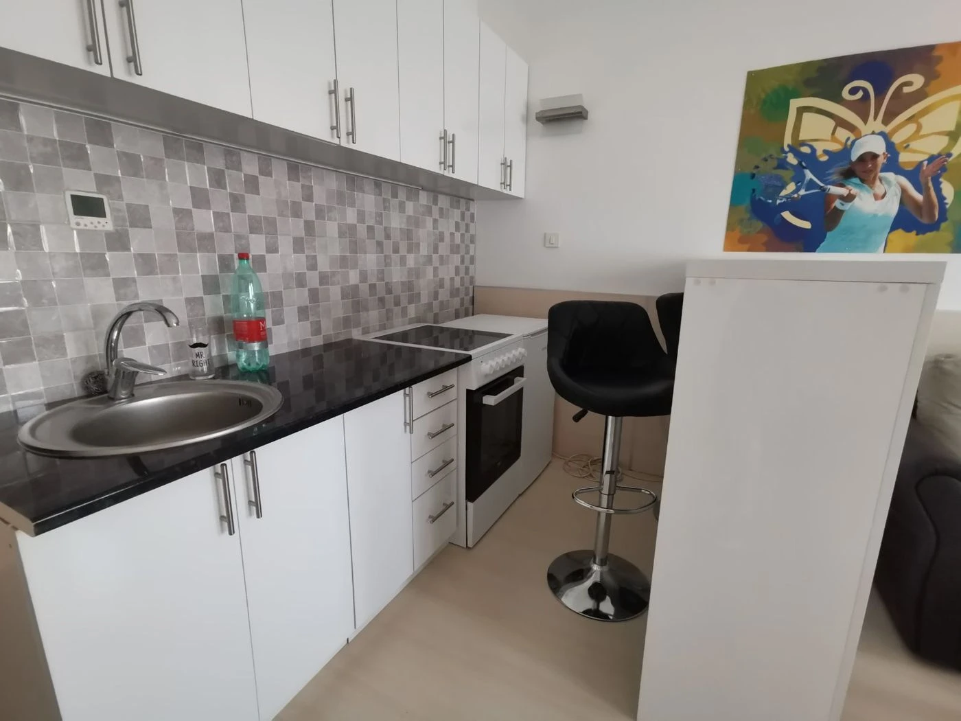 stan na prodaju Novi Sad 24m2 515155