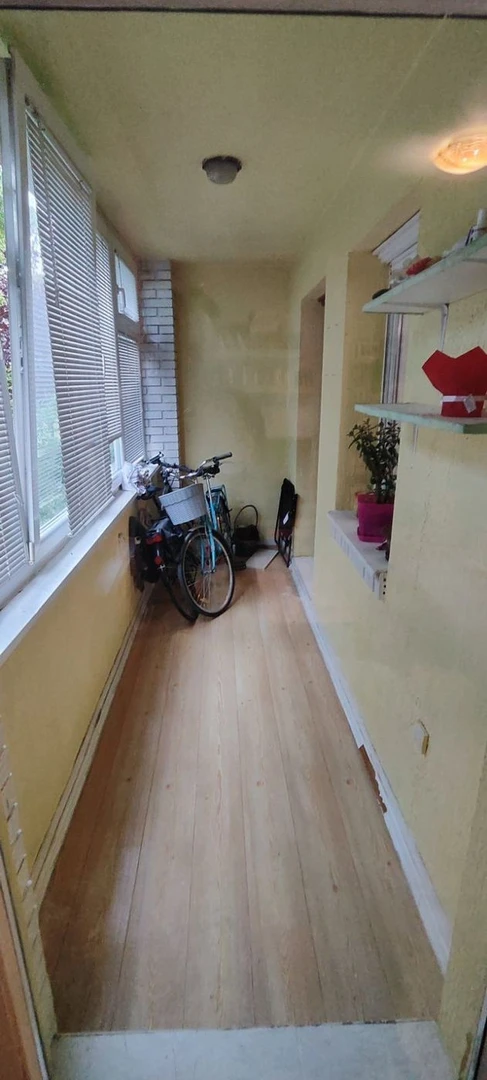 stan na prodaju Novi Sad 65m2 515782