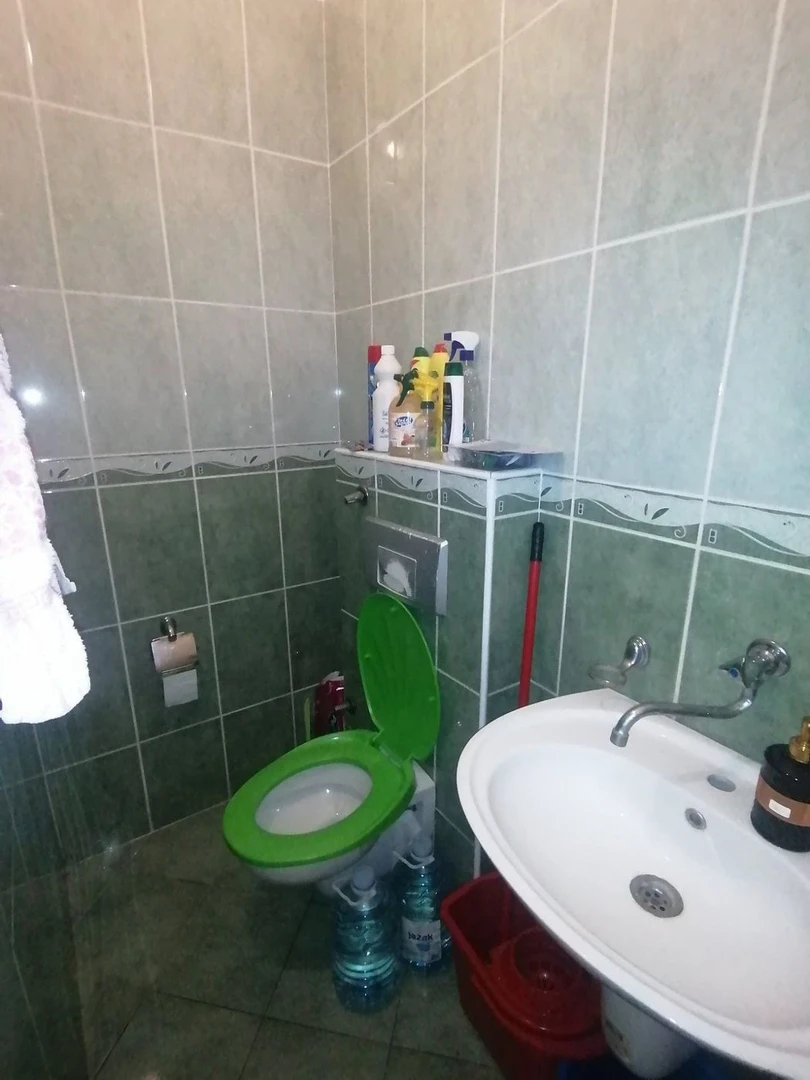 lokal na prodaju Novi Sad 46m2 516042