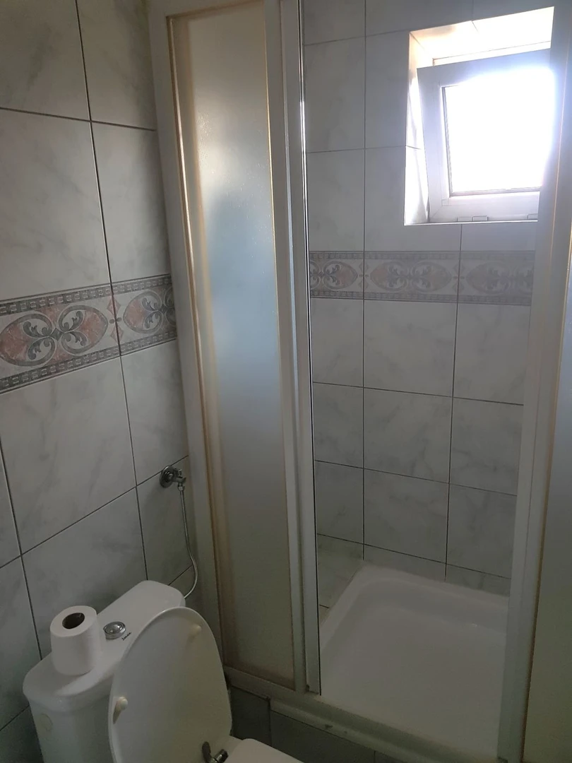kuca na prodaju Veternik 320m2 516625