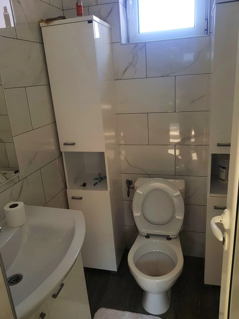 kuca na prodaju Veternik 320m2 516625