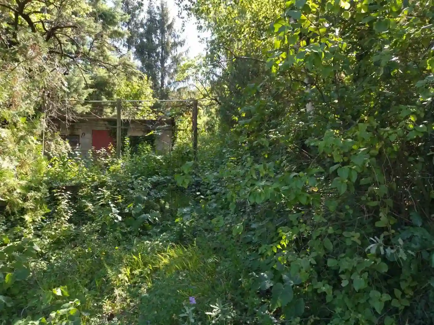 plac na prodaju Sremski Karlovci, 1973m2 516620