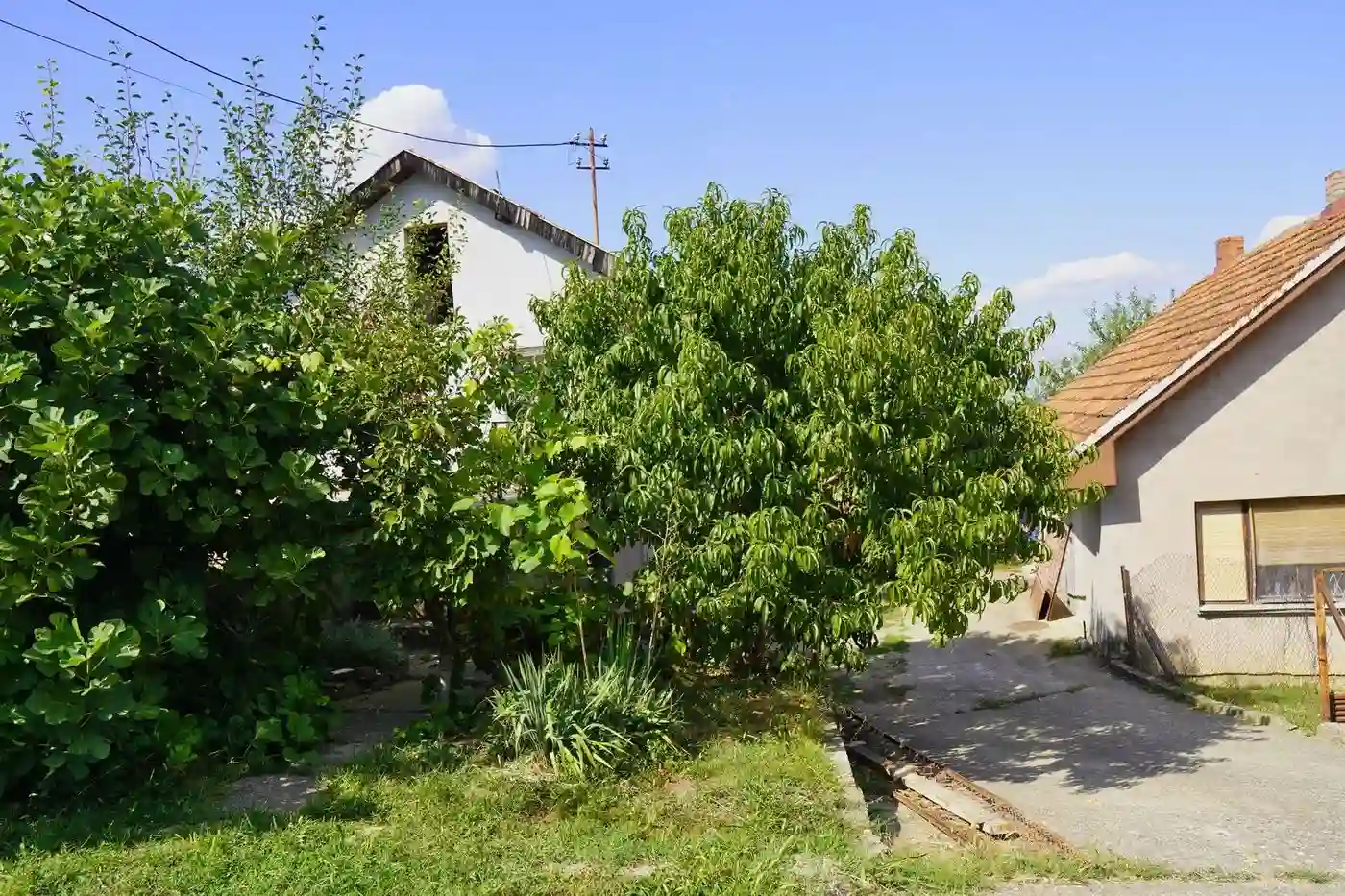 kuca na prodaju Čerević 146m2 514361