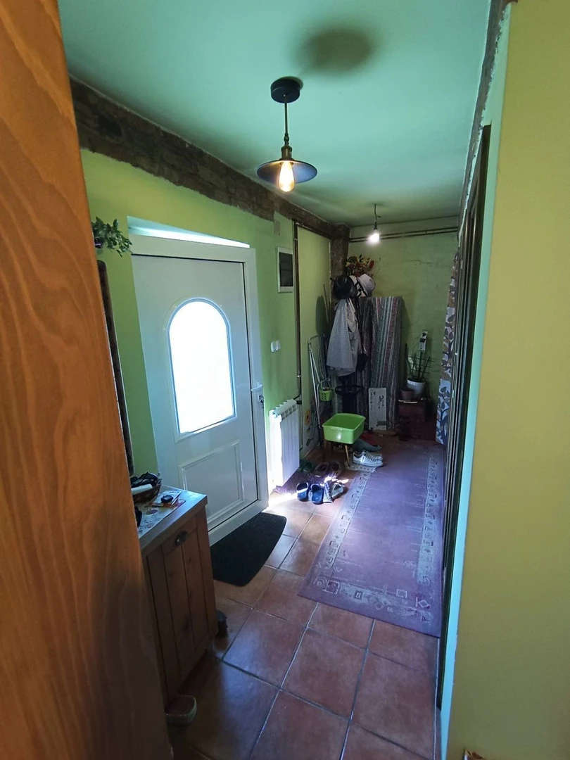 stan na prodaju Novi Sad 50m2 516829