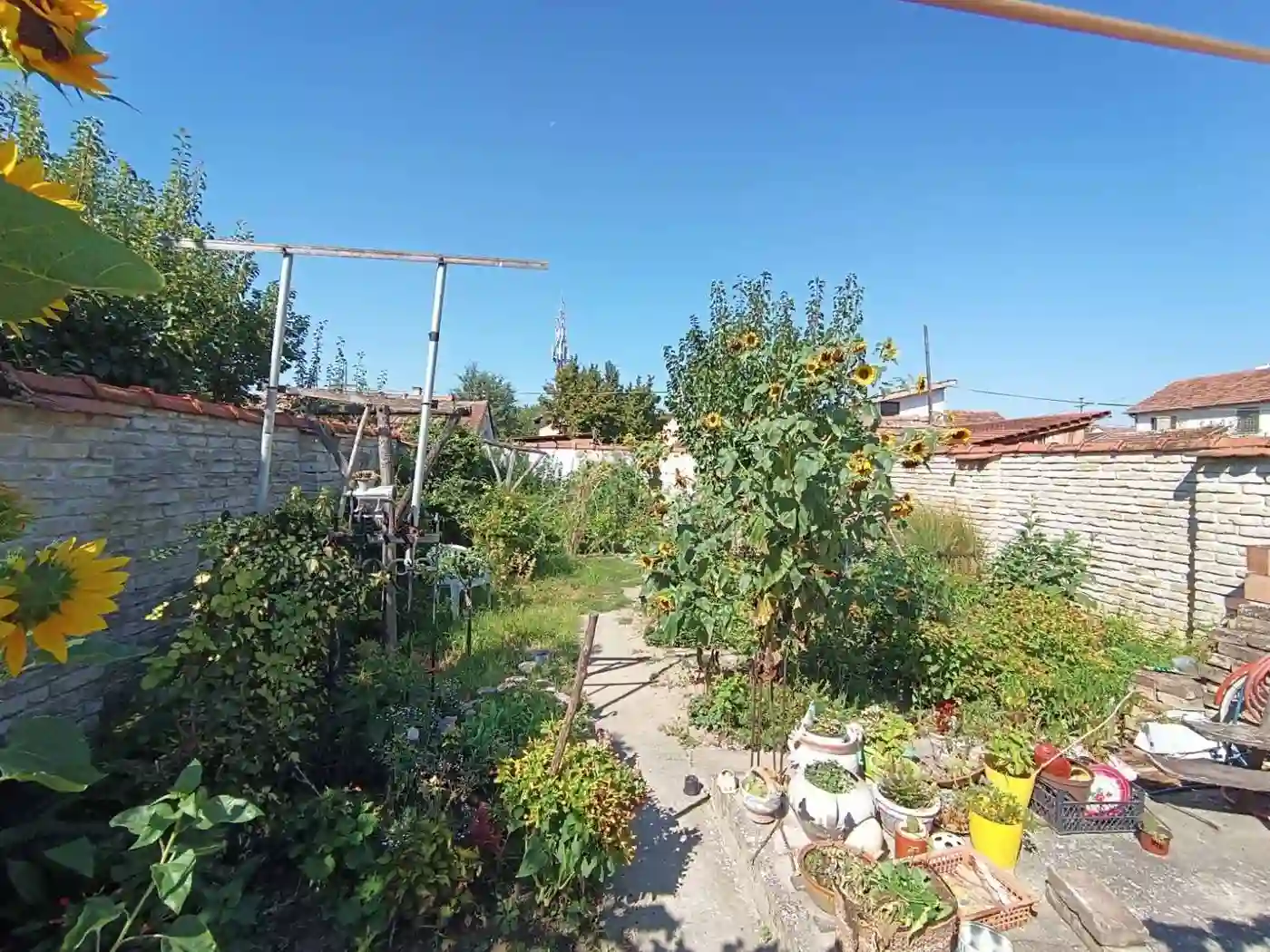 stan na prodaju Novi Sad 50m2 516829