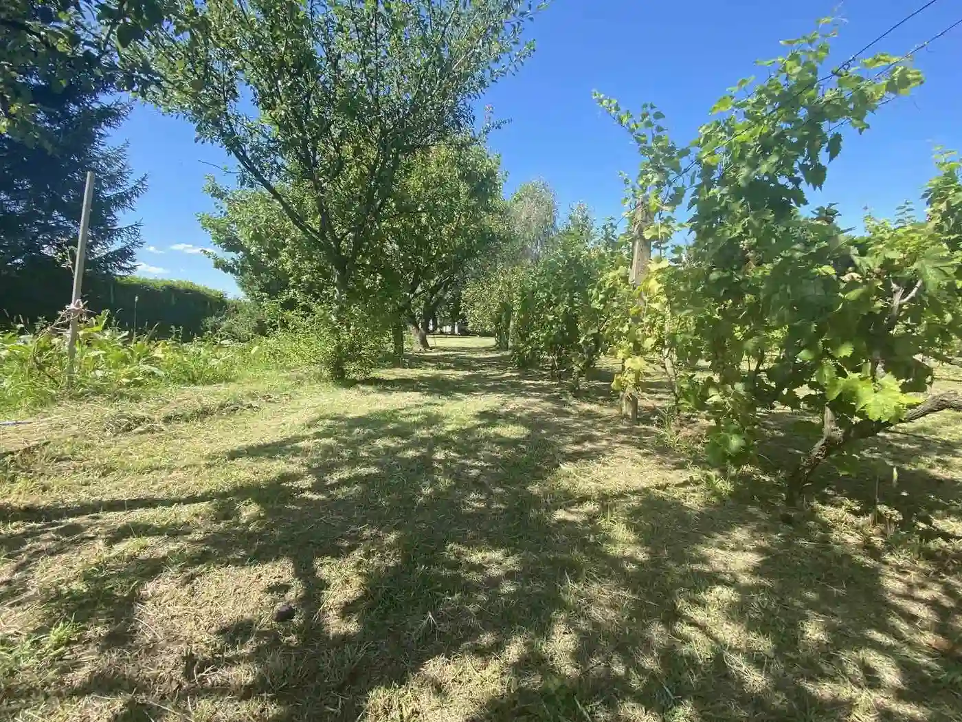 kuca na prodaju Čortanovci 144m2 516693