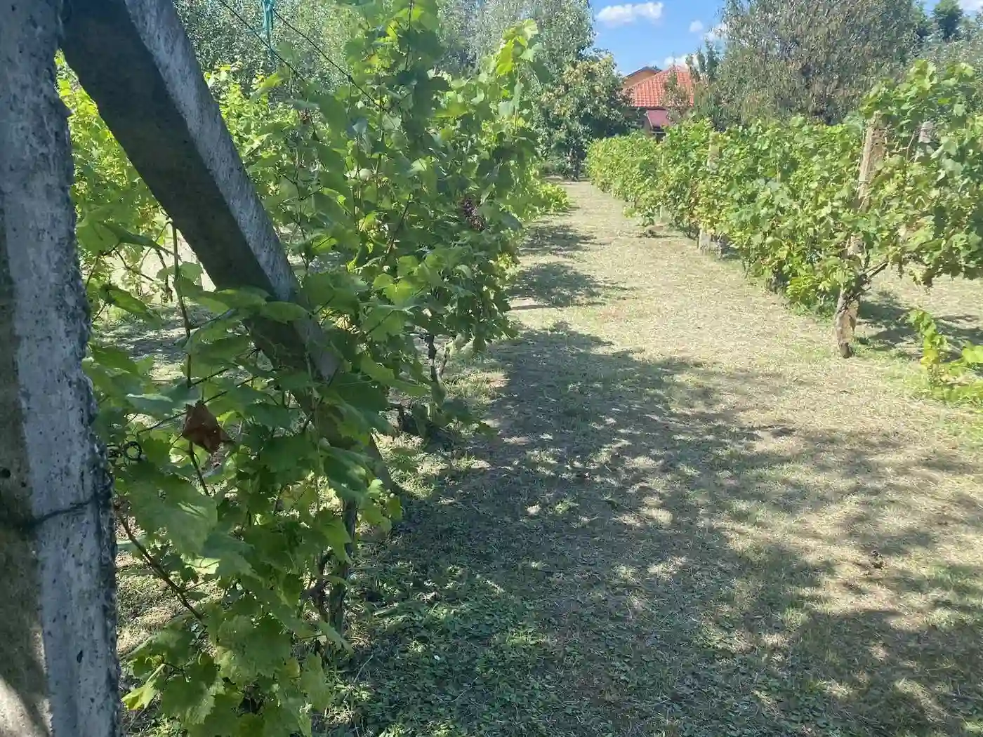 kuca na prodaju Čortanovci 144m2 516693