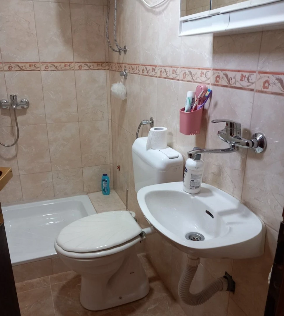 kuca na prodaju Sremska Kamenica 33m2 517171