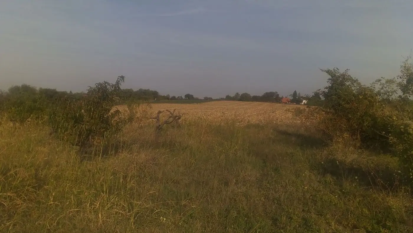 plac na prodaju Sremski Karlovci, 5054m2 515791