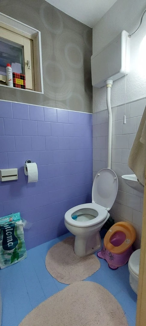 stan na prodaju Novi Sad 50m2 518374