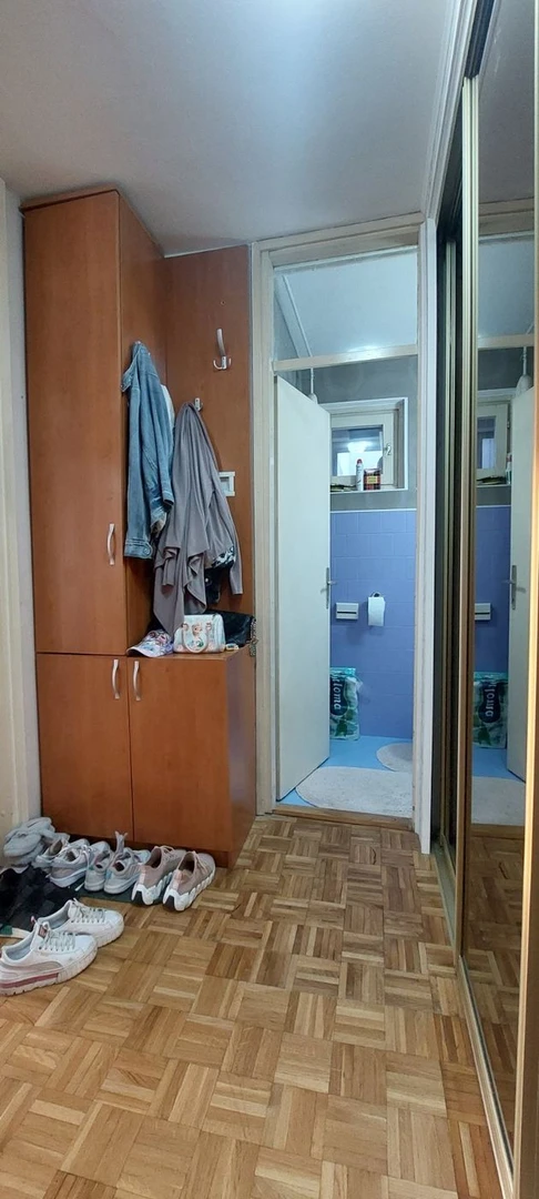 stan na prodaju Novi Sad 50m2 518374