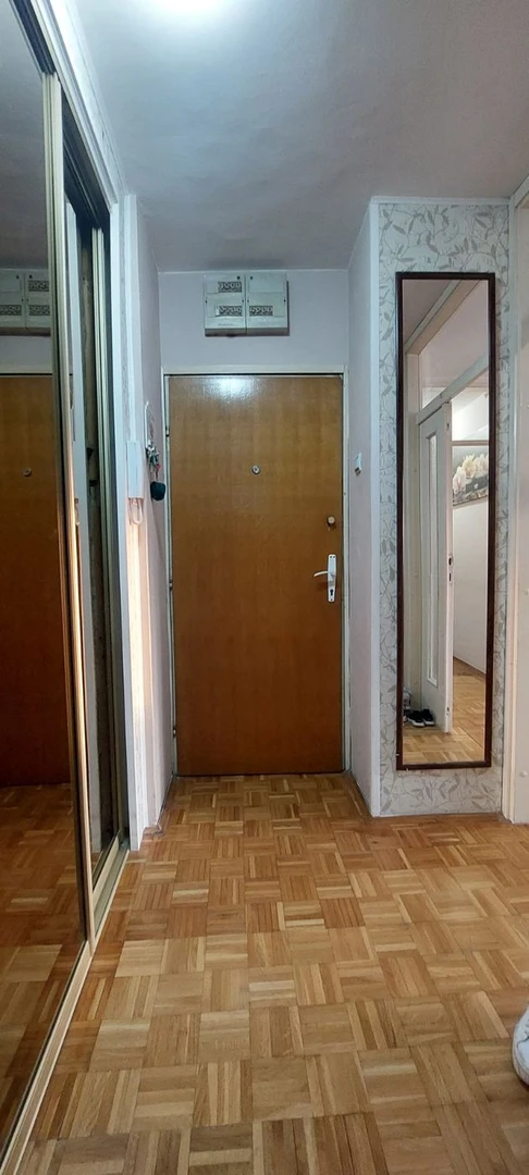 stan na prodaju Novi Sad 50m2 518374