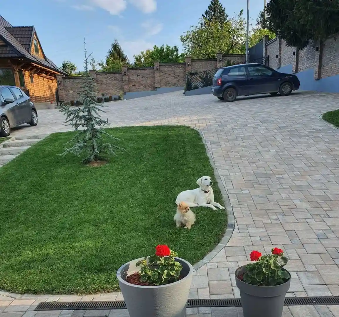 kuca na prodaju Sremska Kamenica 250m2 549723