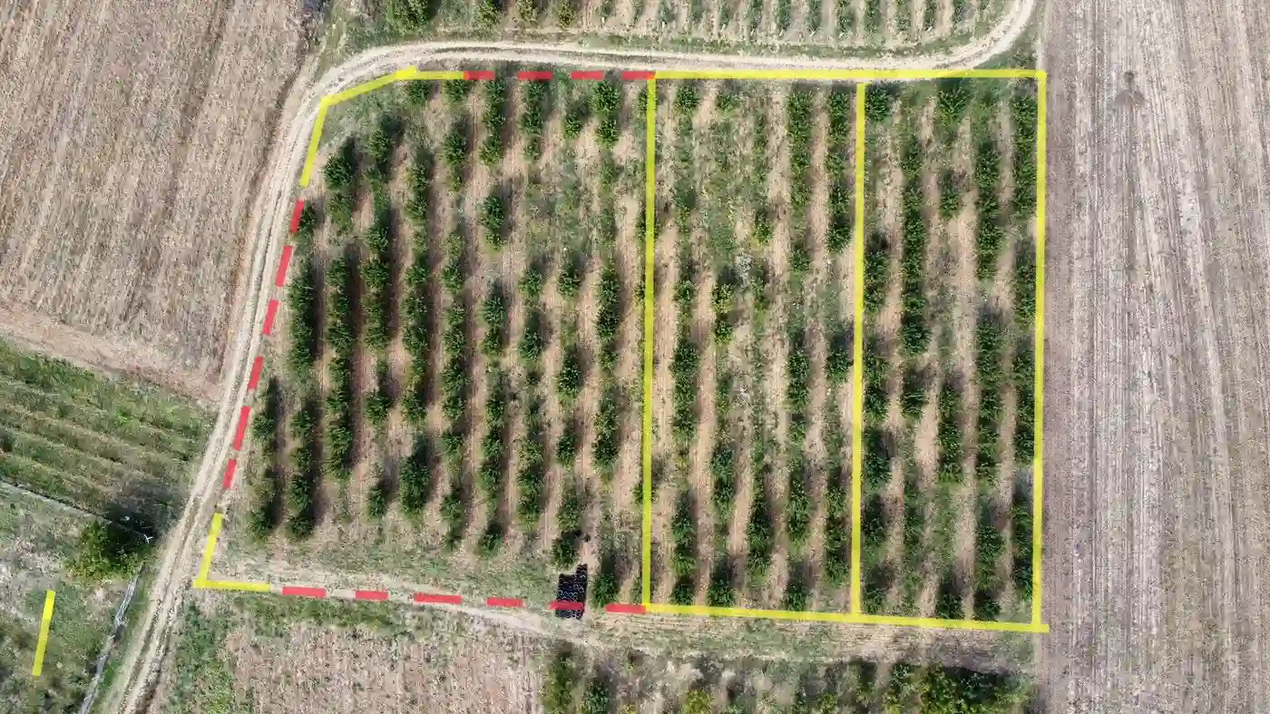 plac na prodaju Krušedol, 3000m2 518766