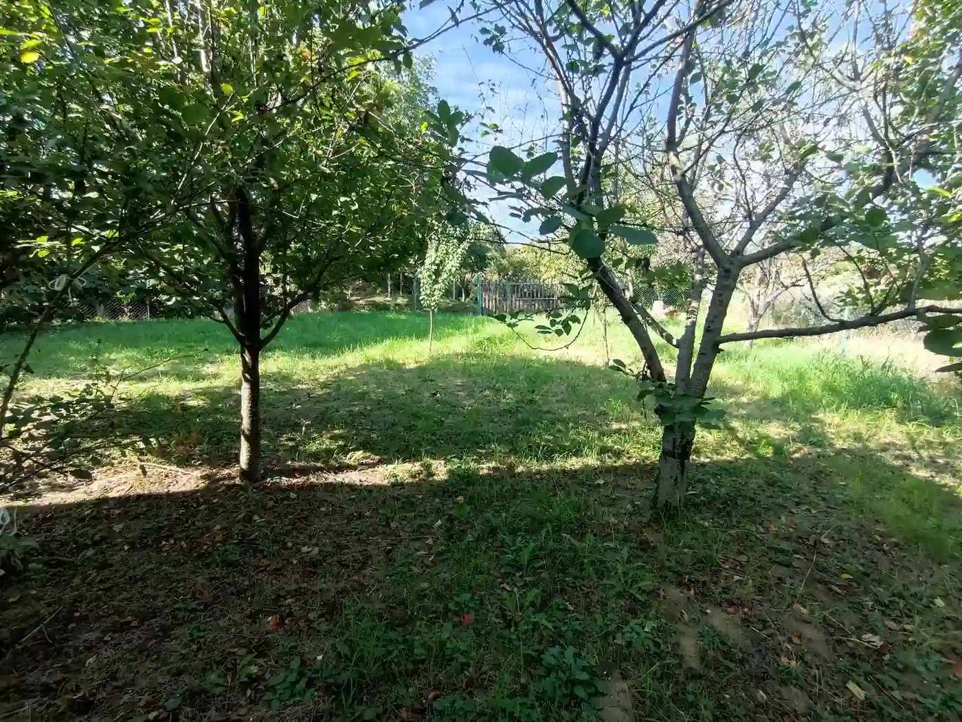 kuca na prodaju Petrovaradin 79m2 517828
