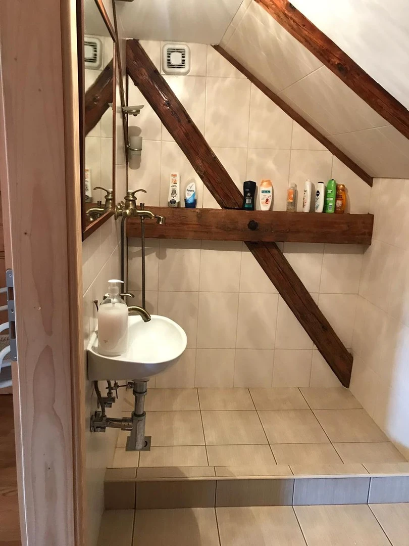 kuca na prodaju Futog 340m2 519138