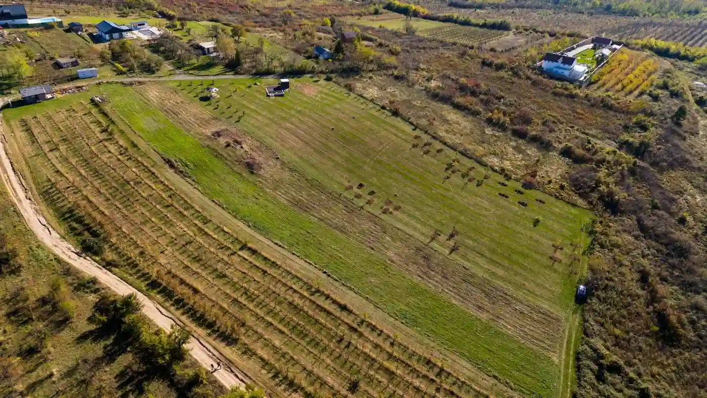 plac na prodaju Vrdnik 1106m2 519239