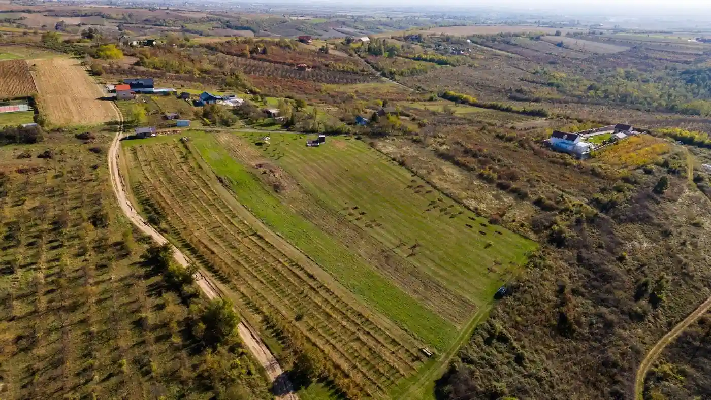 plac na prodaju Vrdnik 1106m2 519239