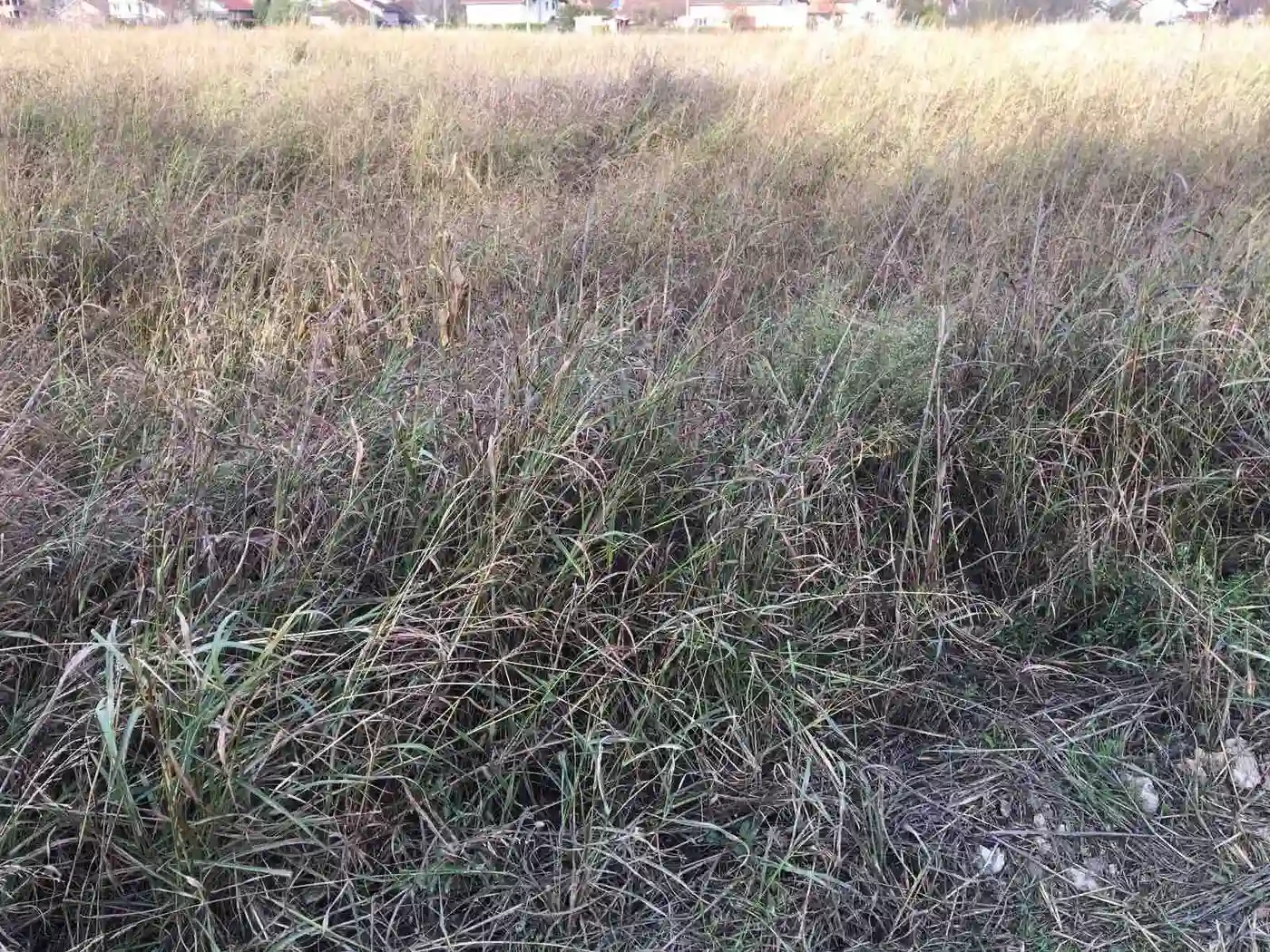 plac na prodaju Novi Sad, 712m2 494908