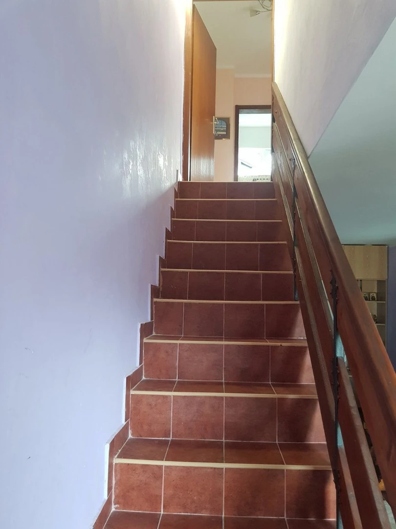 kuca na prodaju Sremska Kamenica 272m2 519597