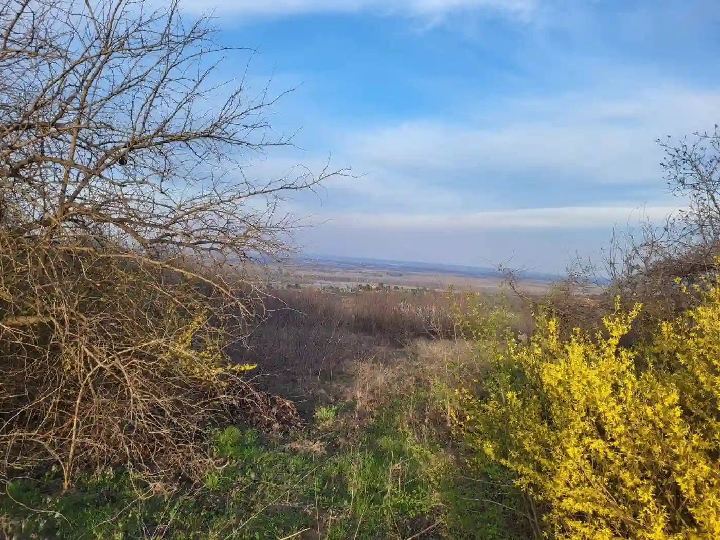 plac na prodaju Sremski Karlovci 4914m2 519727
