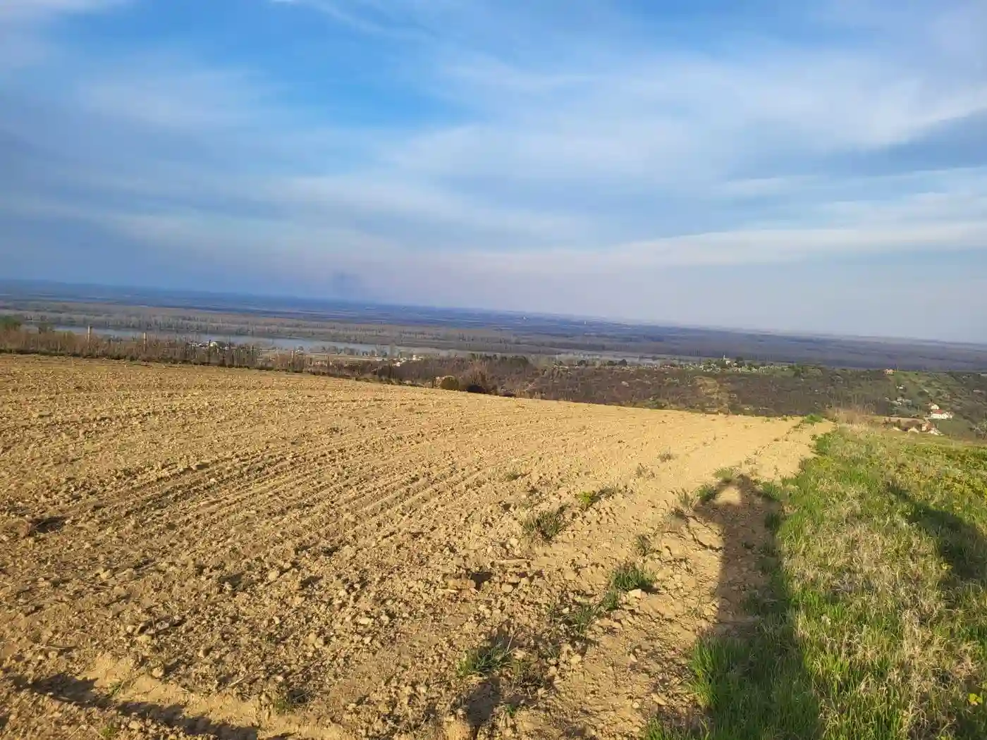 plac na prodaju Sremski Karlovci 4033m2 519729