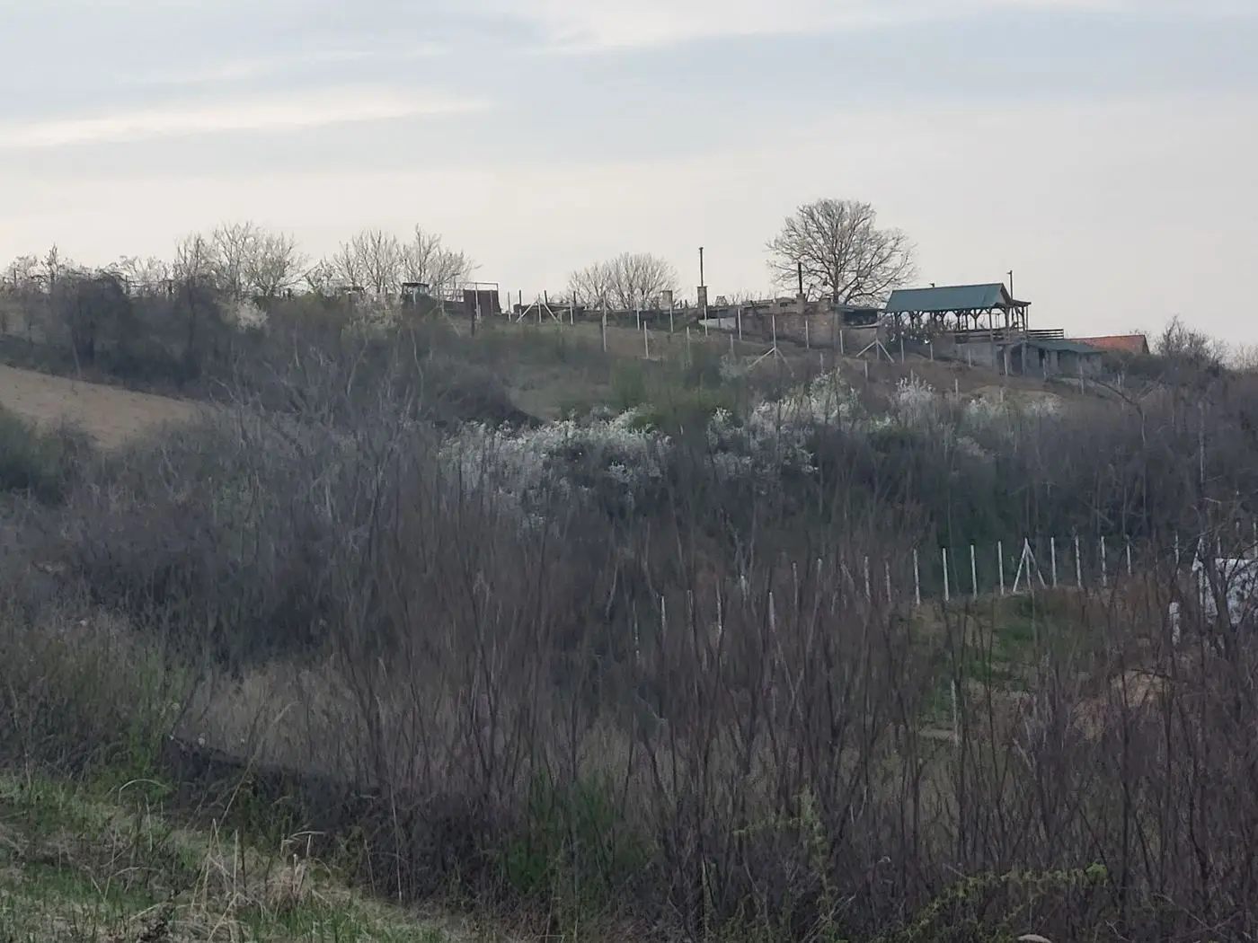 plac na prodaju Sremski Karlovci 4914m2 519727