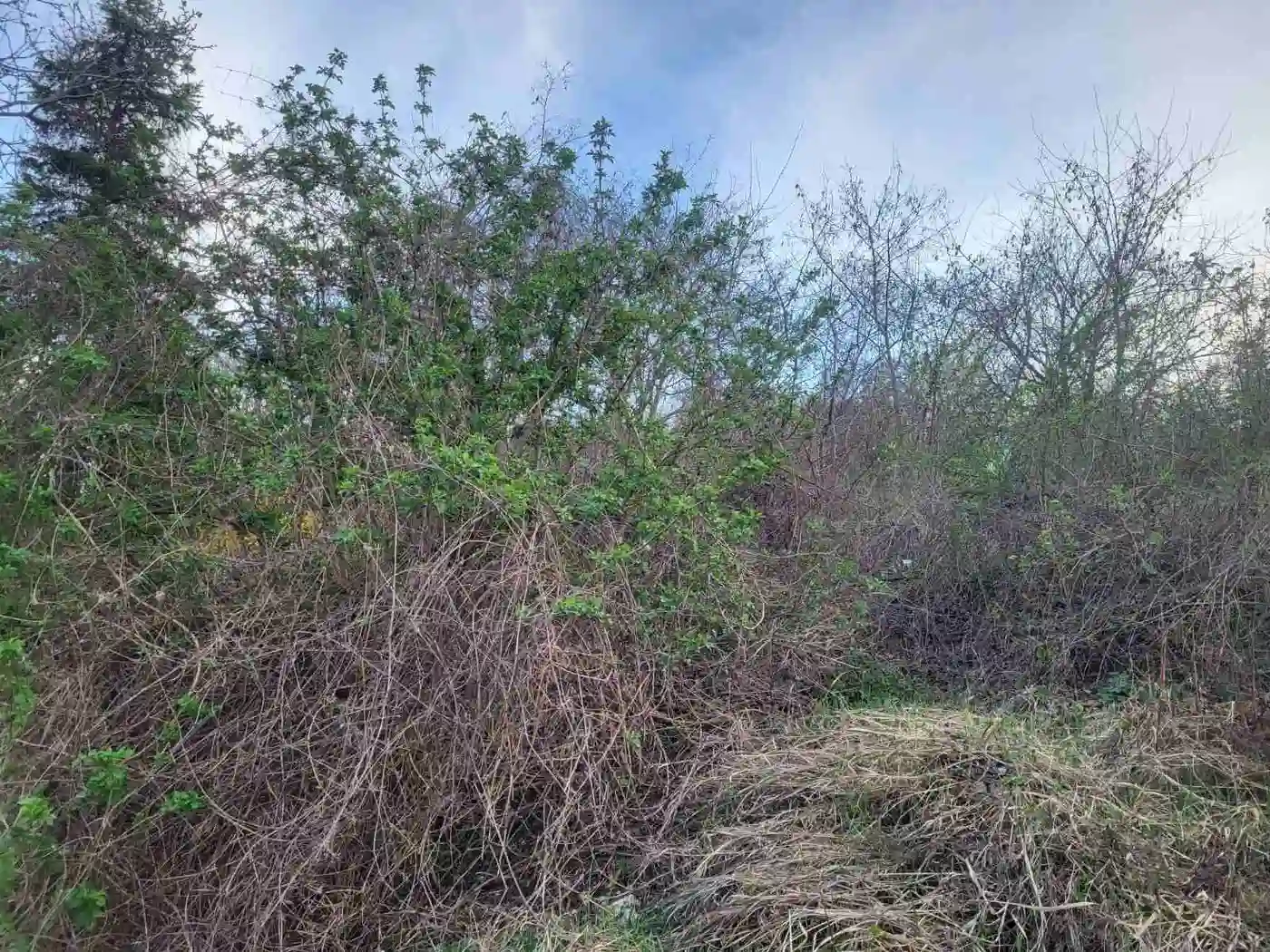plac na prodaju Sremski Karlovci 4914m2 519727