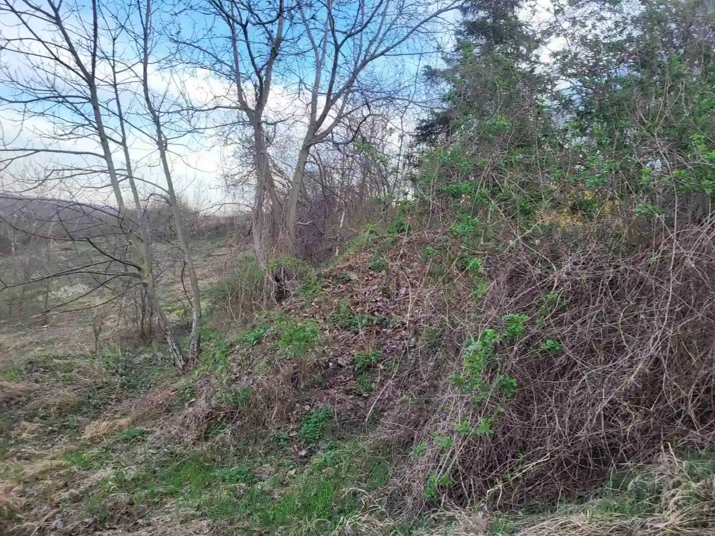 plac na prodaju Sremski Karlovci 4914m2 519727