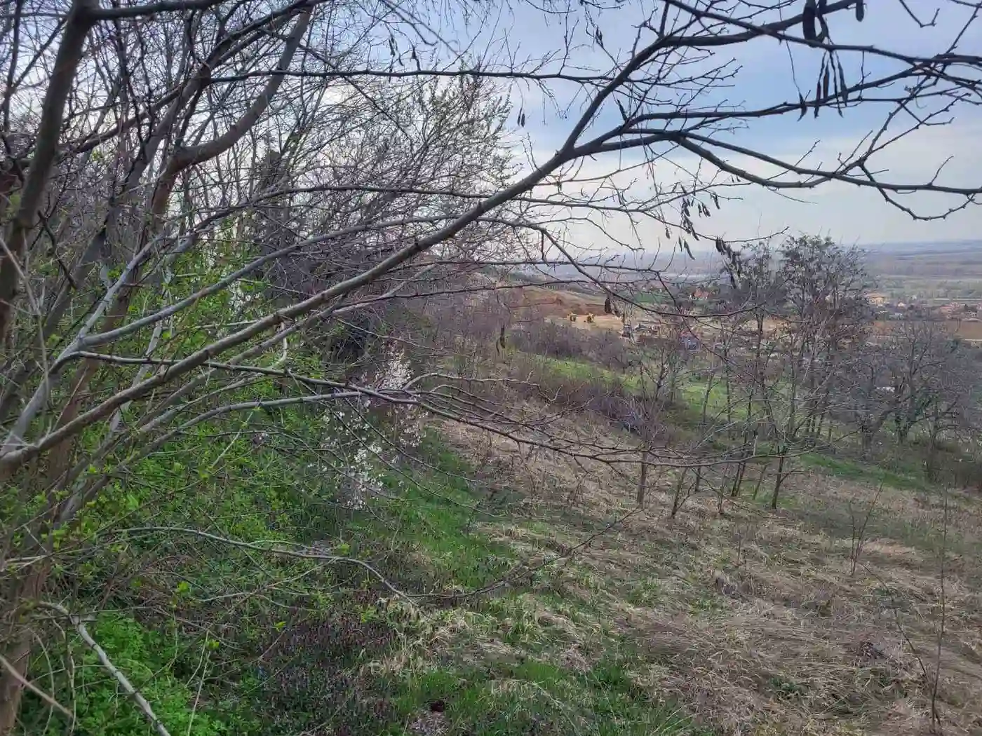 plac na prodaju Sremski Karlovci 4914m2 519727