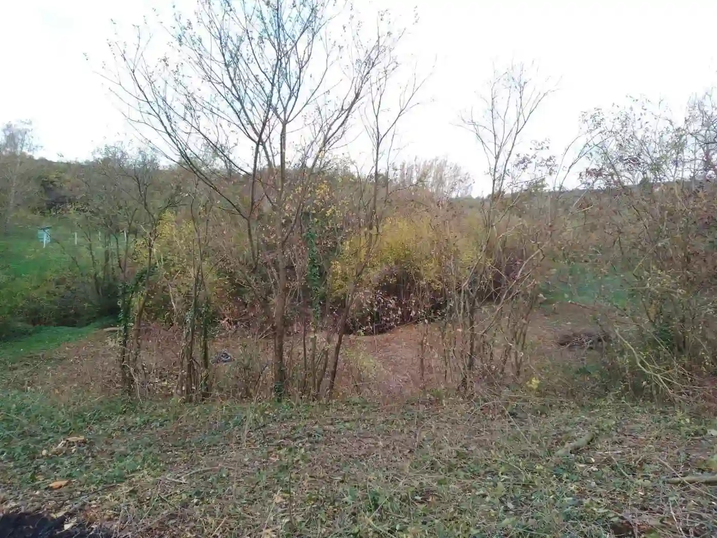 plac na prodaju Čerević, 13463m2 519478