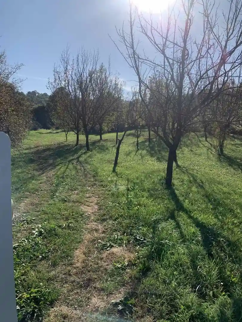 plac na prodaju Sremska Kamenica, 5226m2 519777