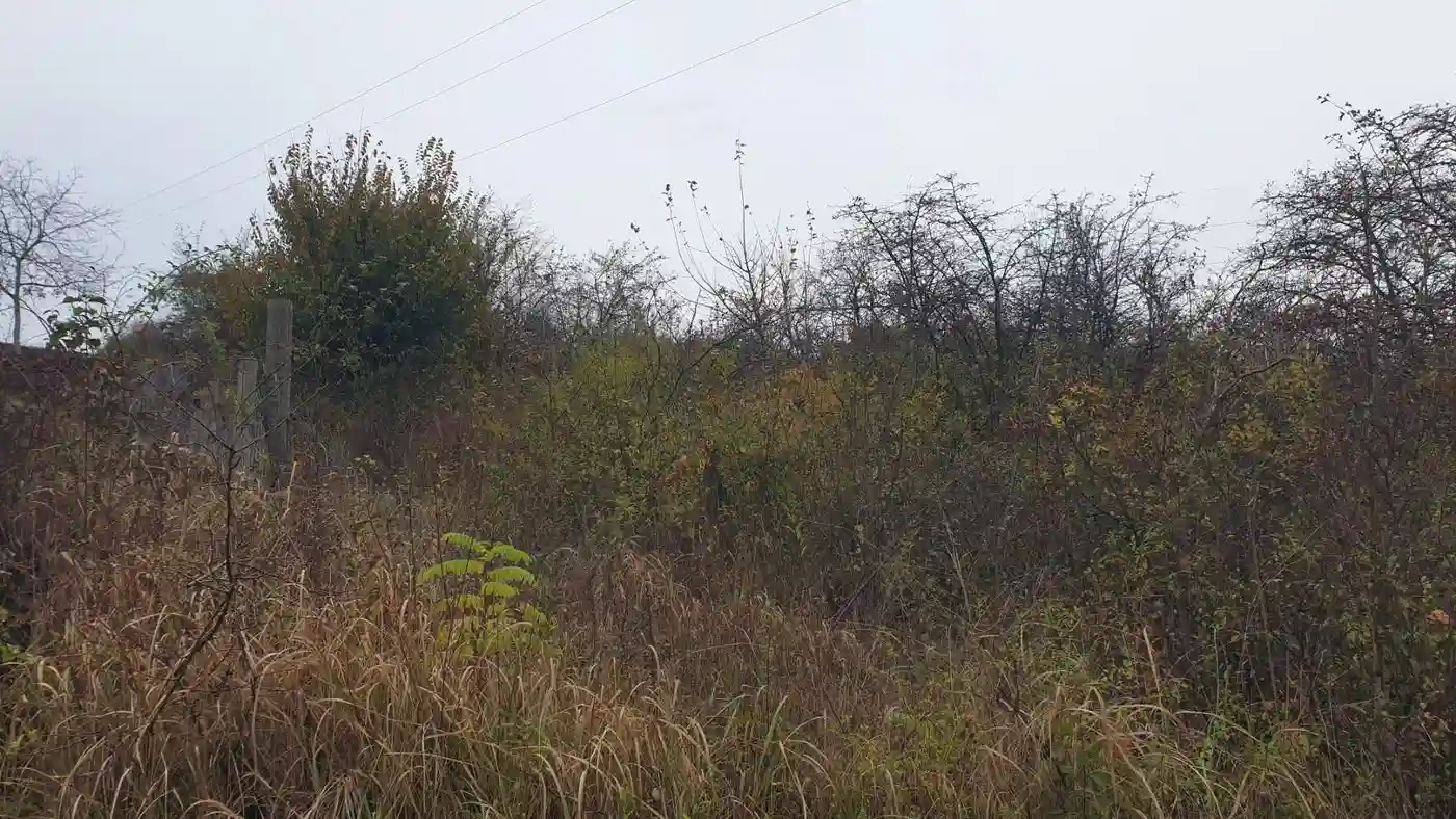 plac na prodaju Sremska Kamenica, 2638m2 519900