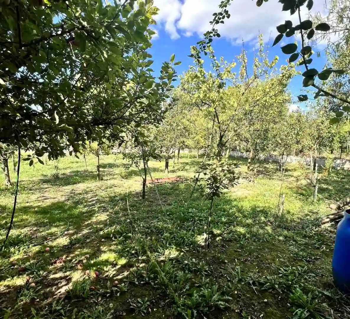 kuca na prodaju Bečej 113m2 519932