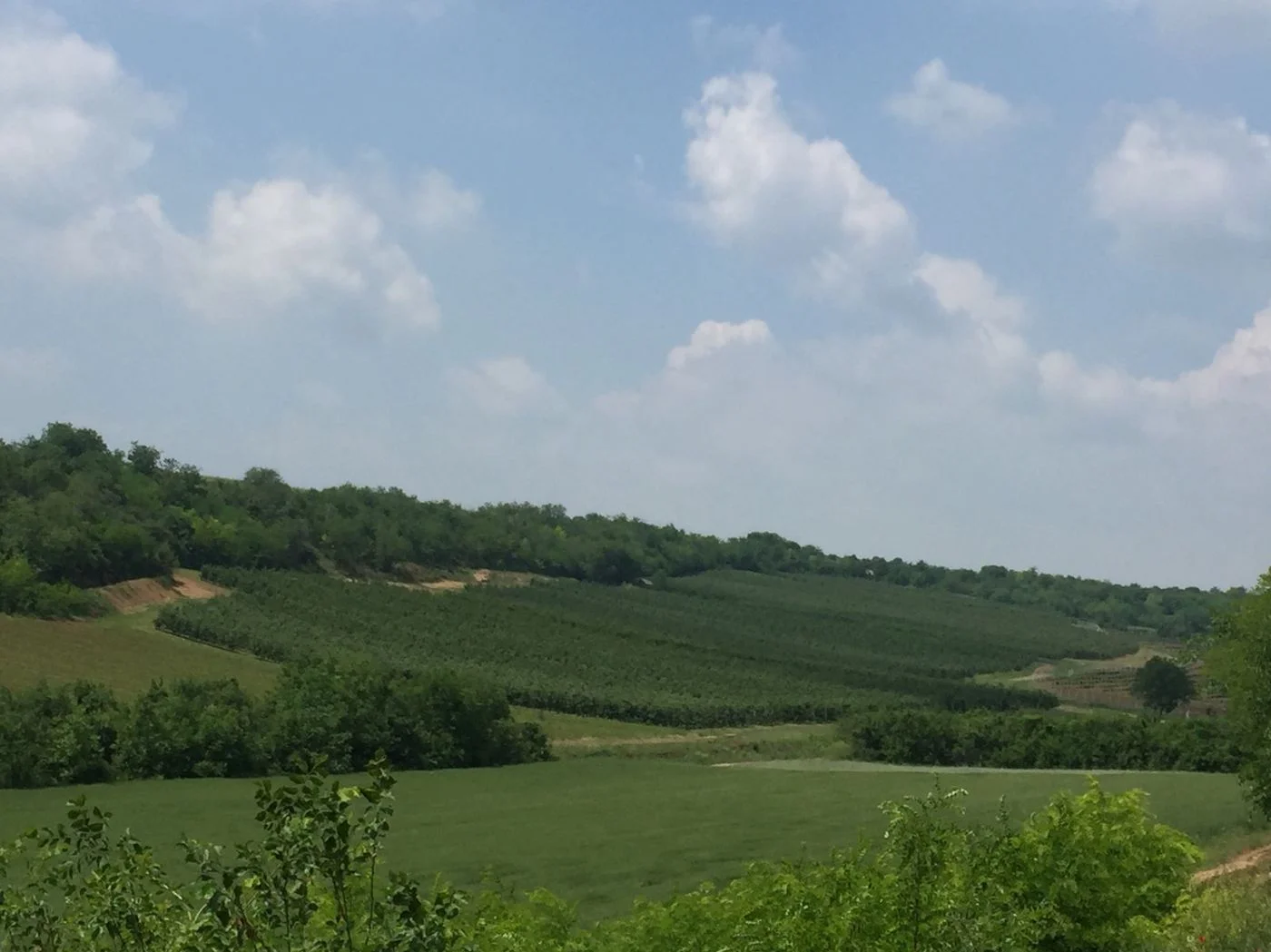 plac na prodaju Vrdnik 4050m2 521461