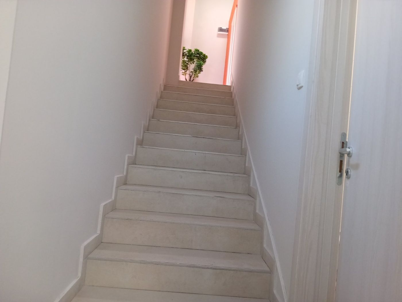 Lokal na prodaju Novi Sad 64m2, 443501