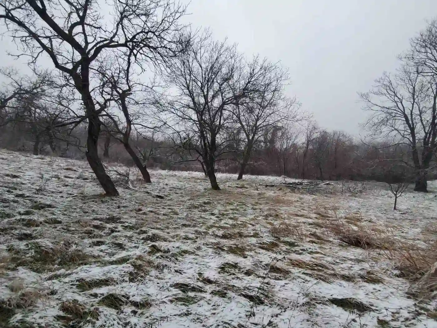 plac na prodaju Petrovaradin 6979m2 522811