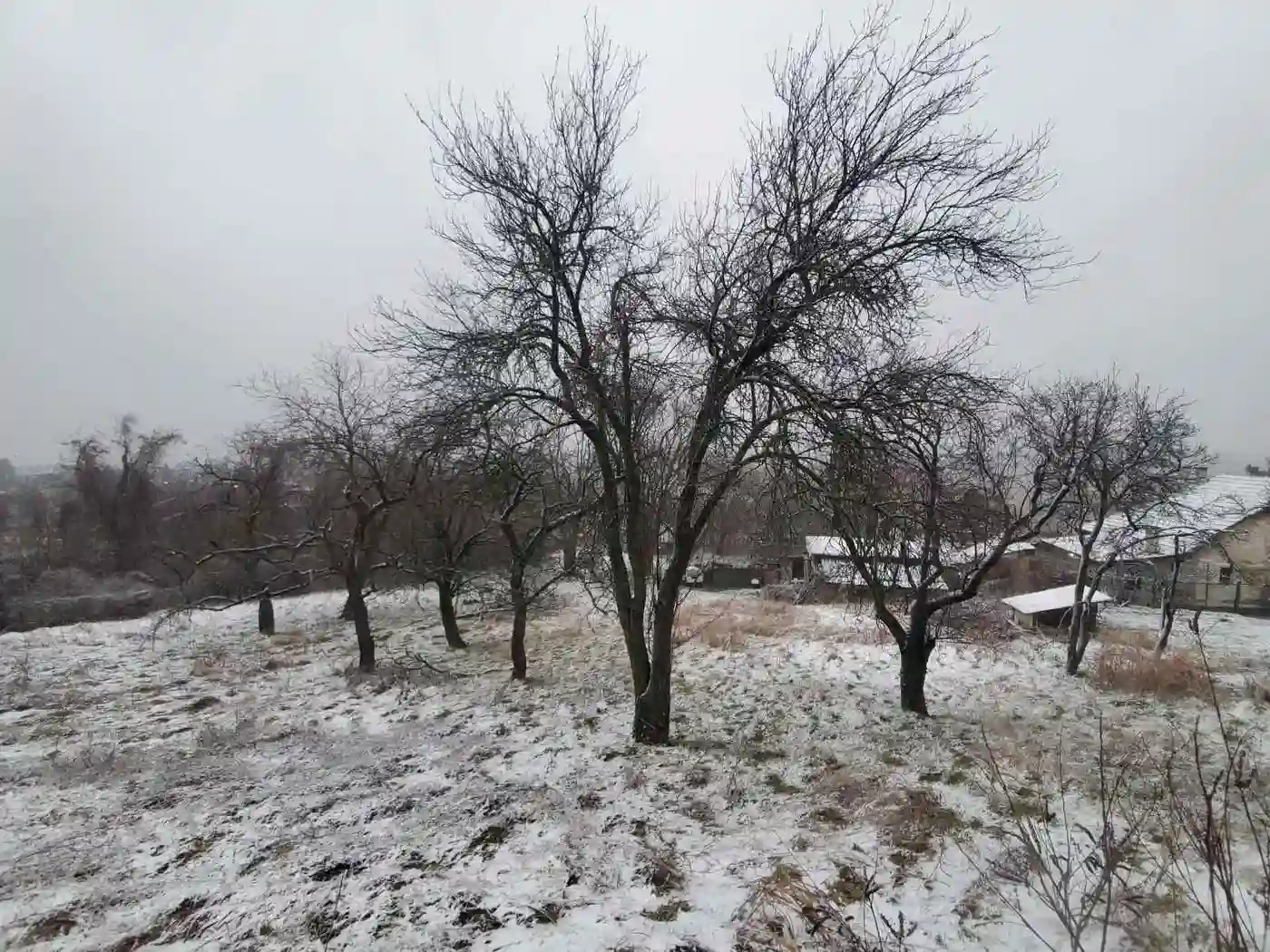 plac na prodaju Petrovaradin 6979m2 522811