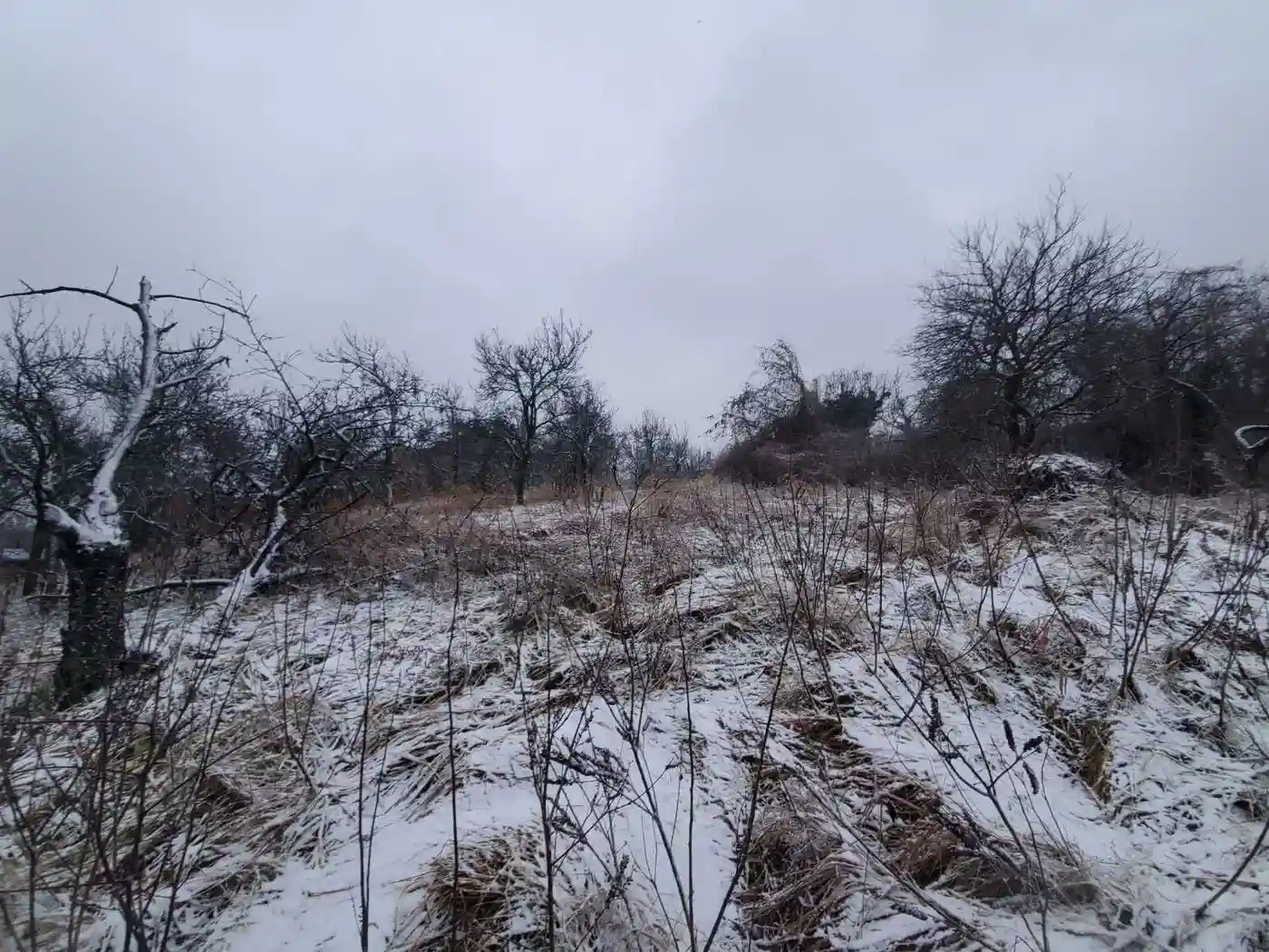plac na prodaju Petrovaradin 6979m2 522811