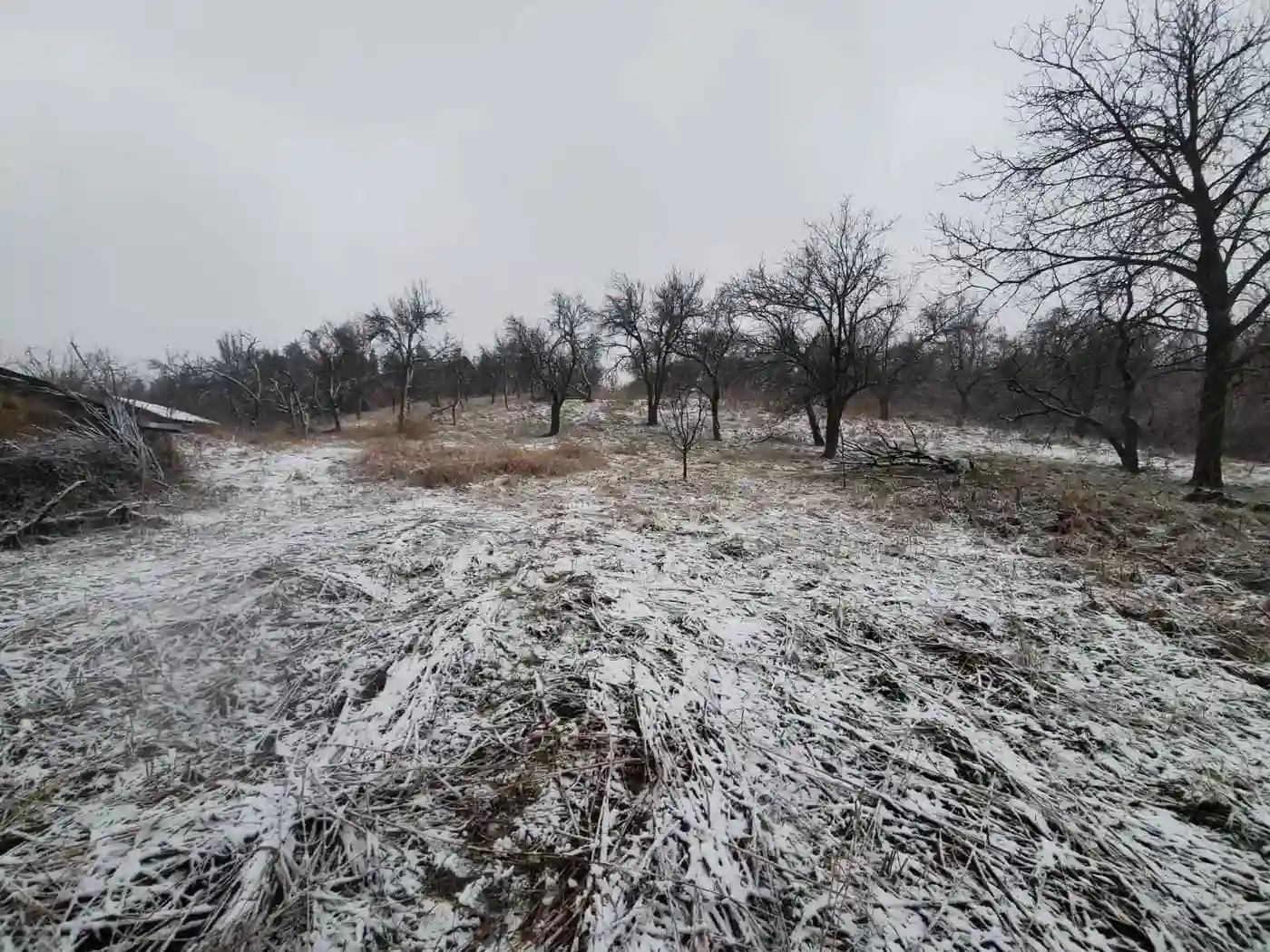 plac na prodaju Petrovaradin 6979m2 522811
