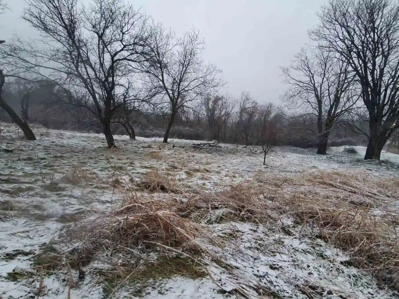plac na prodaju Petrovaradin 6979m2 522811