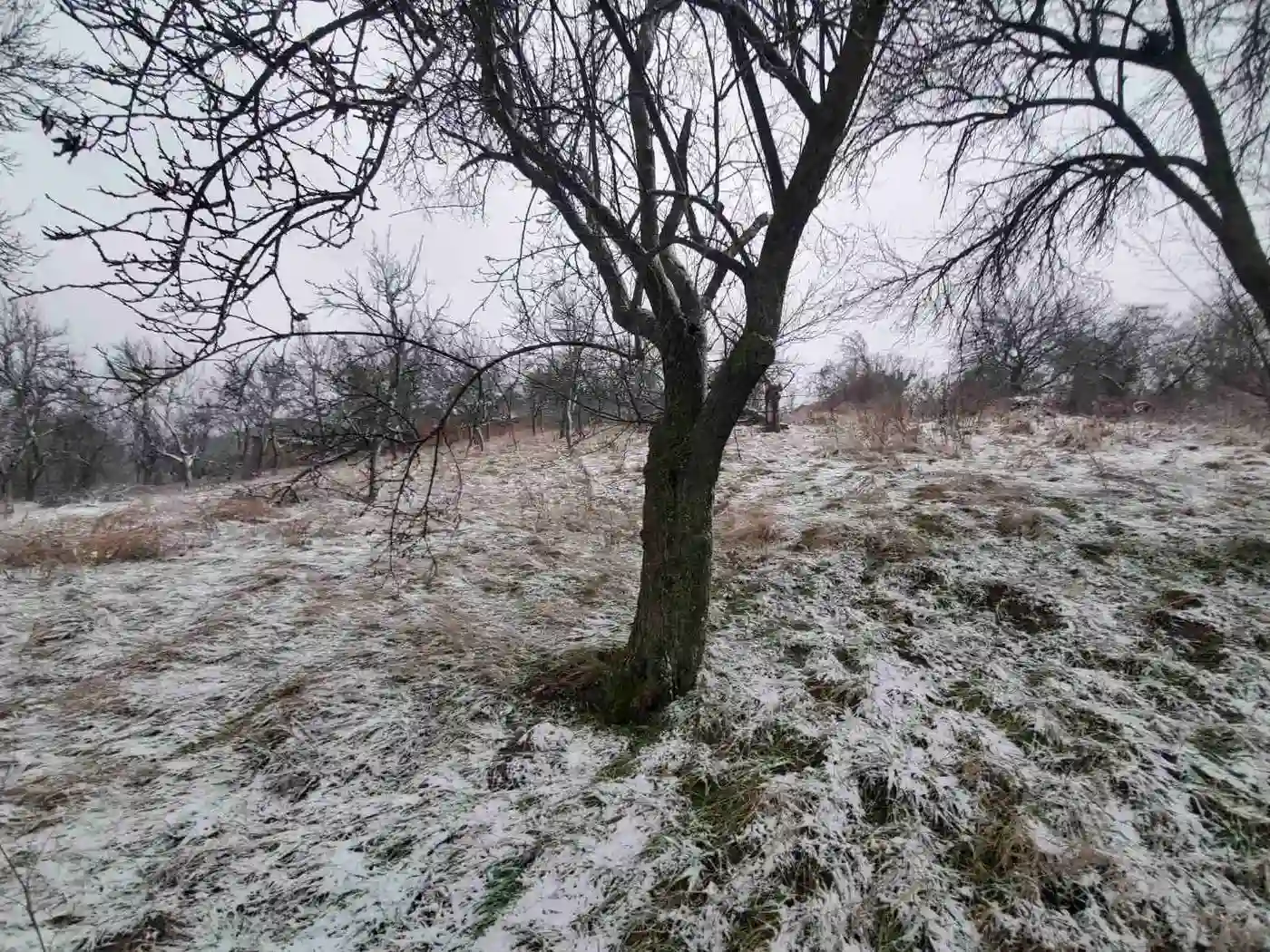plac na prodaju Petrovaradin 6979m2 522811